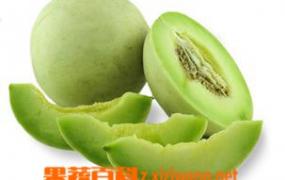 绿皮香瓜营养价值 吃绿皮香瓜的好处