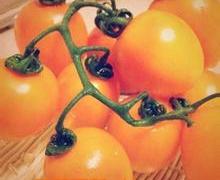 黄樱桃的营养价值和功效作用