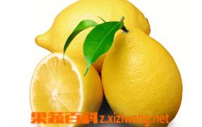 柠檬的五大美白祛斑方法