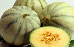 白兰瓜的功效与作用 吃白兰瓜的好处