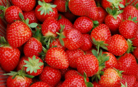 吃草莓要注意什么 吃草莓注意事项