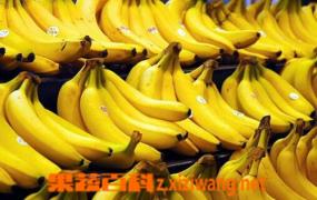 吃香蕉的功效与作用 香蕉的药用价值