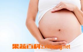 孕中期可以吃生梨吗 孕早期能吃生梨吗