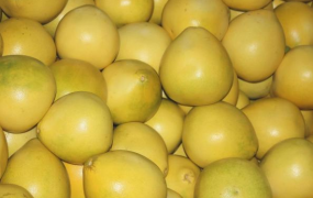 柚子的食疗功效 柚子能治什么病