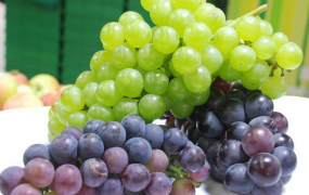 吃葡萄的好处 常见葡萄的营养价值