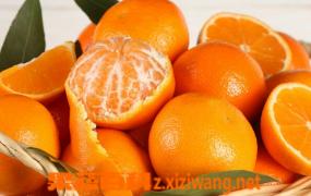 橘子和甜橙的区别