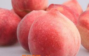 水蜜桃的功效与作用 水蜜桃的食用方法及禁忌