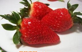 章姬和红颜草莓的区别 草莓的常见品种