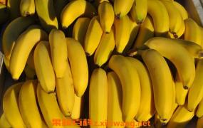 香蕉的功效与作用 食用香蕉注意事项