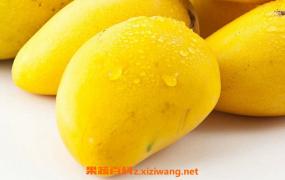 芒果的功效与作用 食用芒果的注意事项