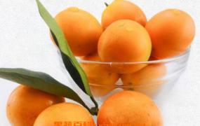 金钱橘怎么腌制 金钱橘的腌制方法教程