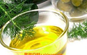 橄榄油怎么吃减肥 橄榄油的减肥用法