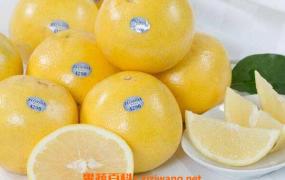 白葡萄柚的功效与作用 吃白葡萄柚的好处