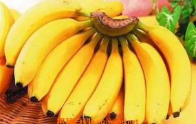 香蕉酵素的功效和作用 吃香蕉酵素的好处