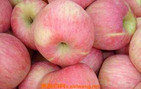 苹果减肥的正确方法 苹果怎么吃减肥