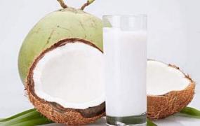 椰子汁的功效与作用 喝椰子汁的禁忌有哪些