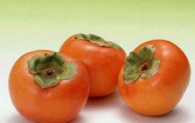 硬柿子和软柿子的区别有哪些