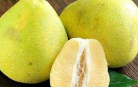 文旦柚的功效与作用及食用方法