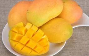吃芒果的好处和坏处 吃芒果有什么好处
