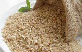 糙米的功效与作用有哪些？