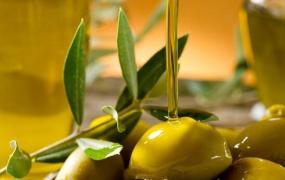 油橄榄果油的功效与作用