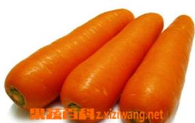 胡萝卜怎么吃最有营养 胡萝卜如何吃最好
