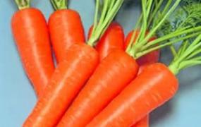 胡萝卜的营养价值 胡萝卜防癌抗癌作用