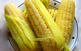 玉米除草剂种类