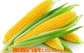 玉米食疗功效和玉米食疗编方