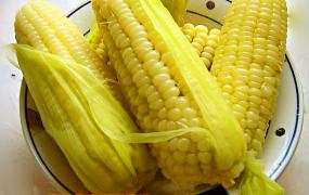 玉米功效和作用有哪些