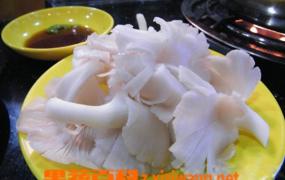 凤尾菇的营养价值 凤尾菇家常做法