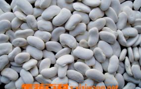 白扁豆的各种做法及营养