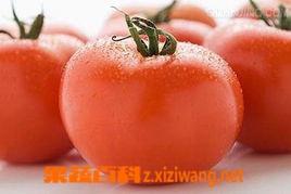 番茄高产早熟技巧