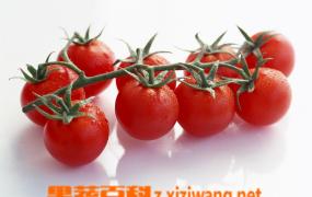 番茄红素的十大药理作用