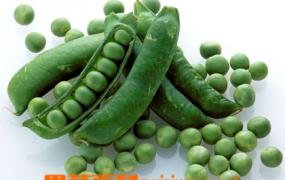 菜豌豆的营养价值