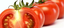 番茄反季节栽培技巧