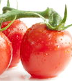 番茄施肥注意事项