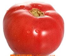 番茄如何栽培？番茄栽培技巧大全