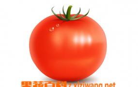 吃番茄的益处 吃番茄有哪些好处