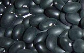 黑芸豆营养价值和药用价值
