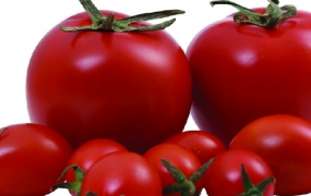 番茄种子留种方法步骤