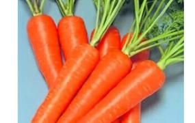 胡萝卜的营养价值和营养成份