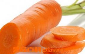 吃胡萝卜的好处 胡萝卜的营养价值