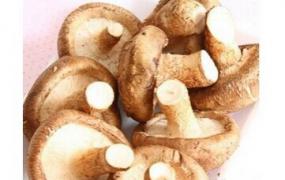 鲜香菇的保存方法 鲜香菇如何保鲜