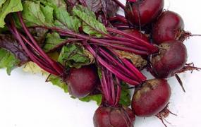紫菜头的营养价值和做法