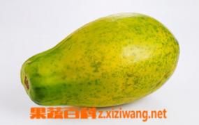 青木瓜的吃法 青木瓜的食用方法