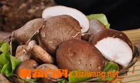 干香菇的食用方法 湿香菇的食用方法