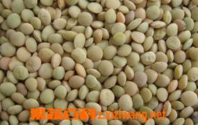 小扁豆的营养价值和功效