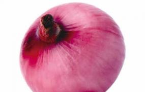 紫洋葱的营养价值和营养成分