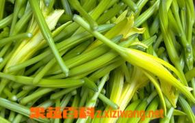 新鲜的黄花菜怎么吃 新鲜黄花菜的吃法技巧